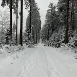 12 45qm Bis 3 Pers Nahe Winterberg * Schmallenberg