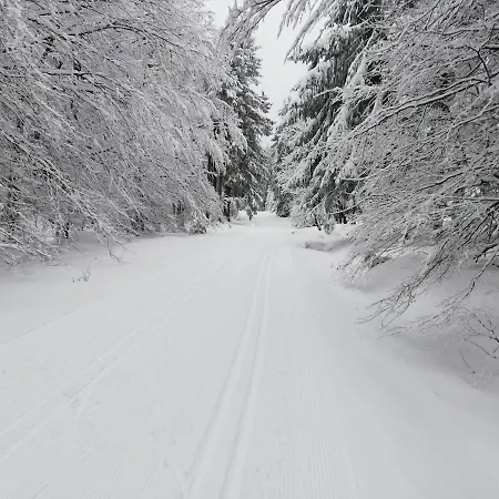 12 45qm Bis 3 Pers Nahe Winterberg 公寓 *