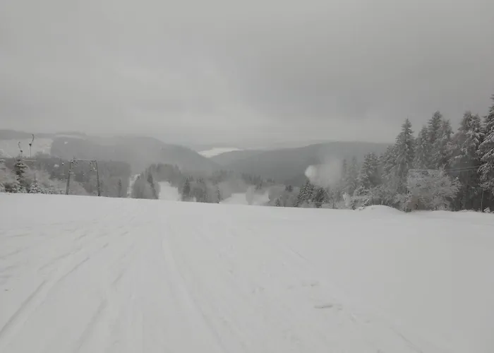 公寓 12 45qm Bis 3 Pers Nahe Winterberg *