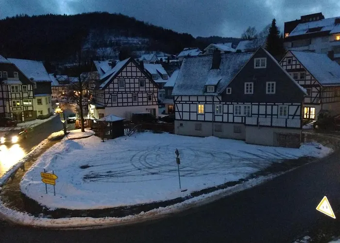 公寓 12 45qm Bis 3 Pers Nahe Winterberg *