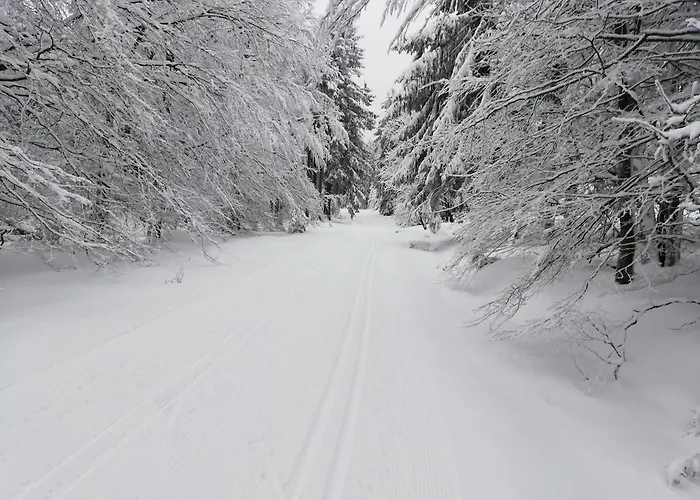 12 45qm Bis 3 Pers Nahe Winterberg 公寓 *