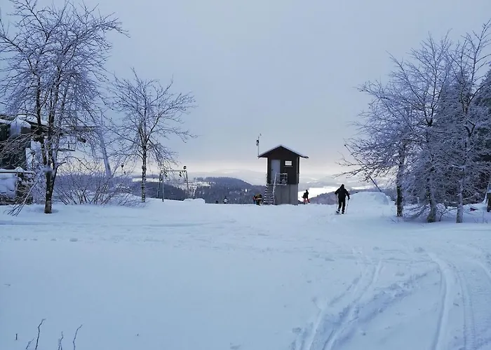 Apartament 12 45qm Bis 3 Pers Nahe Winterberg *