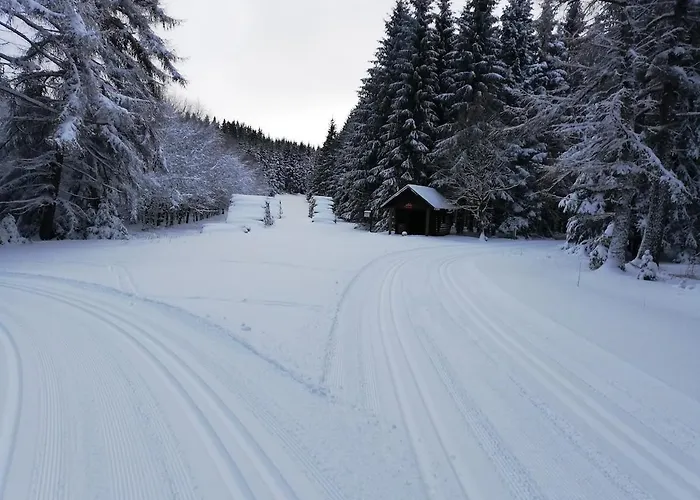 12 45qm Bis 3 Pers Nahe Winterberg 公寓 *