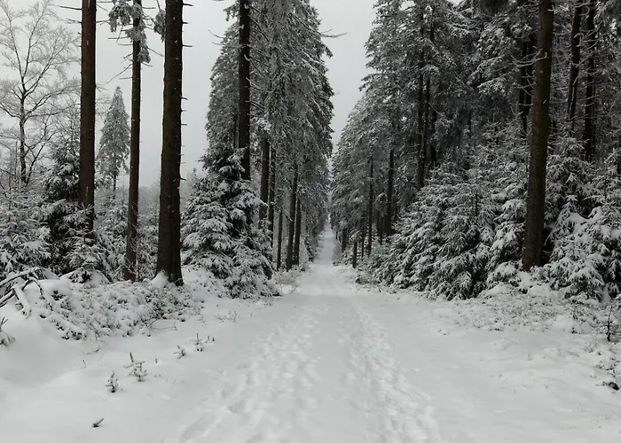 12 45qm Bis 3 Pers Nahe Winterberg * 施马伦贝格