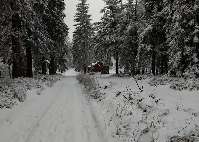 12 45qm Bis 3 Pers Nahe Winterberg Apartament